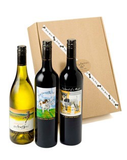 Mutt Lynch Dog Series Gift Box