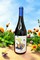 2021 Forgotton Felines GSM - View 1