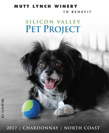 Silicon Valley Pet Project